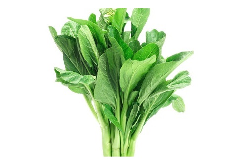 MOSTAZA KOMATSUNA VERDE sobre 50g